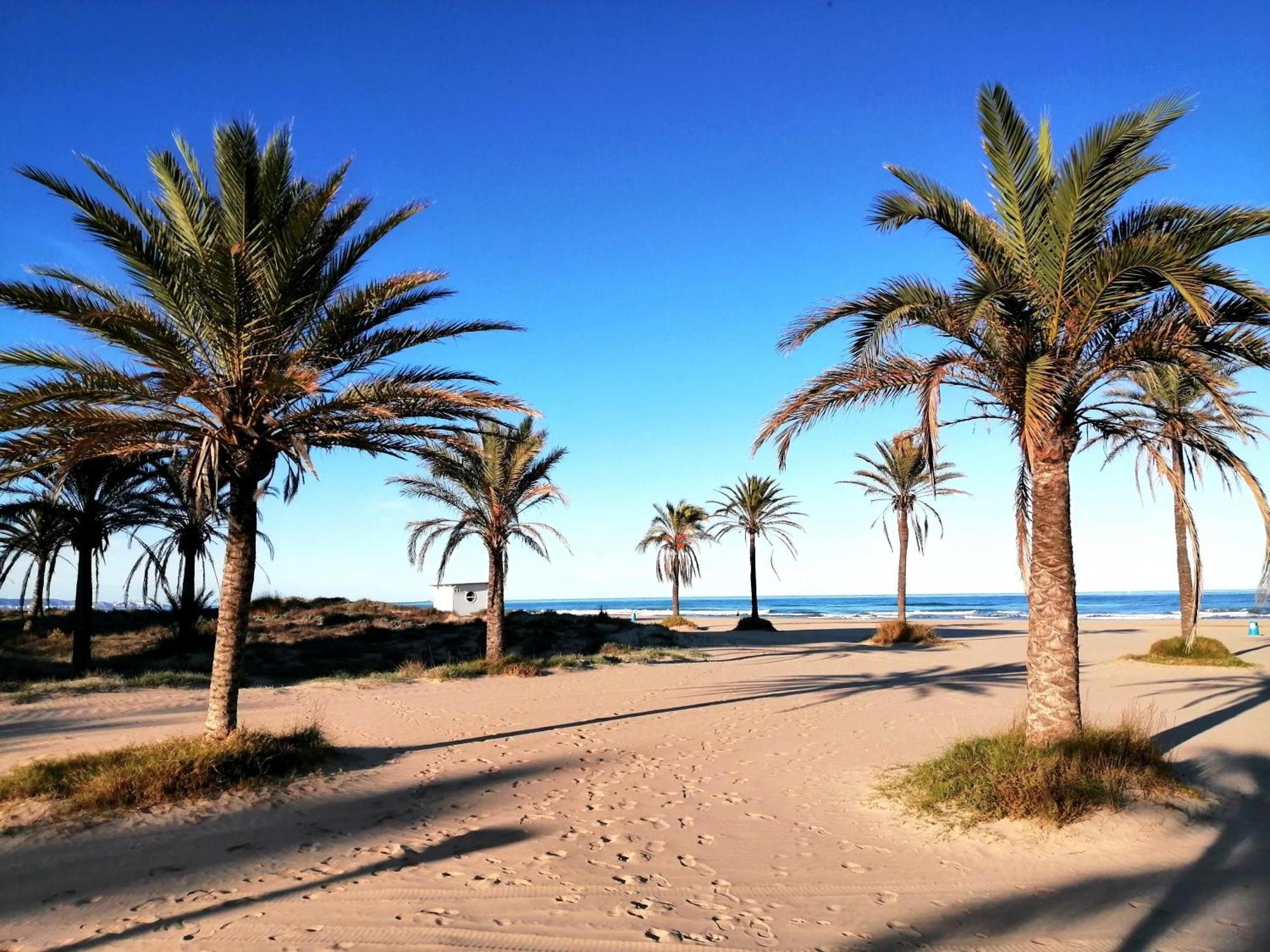 Casita 200 M De La Playa Venecia