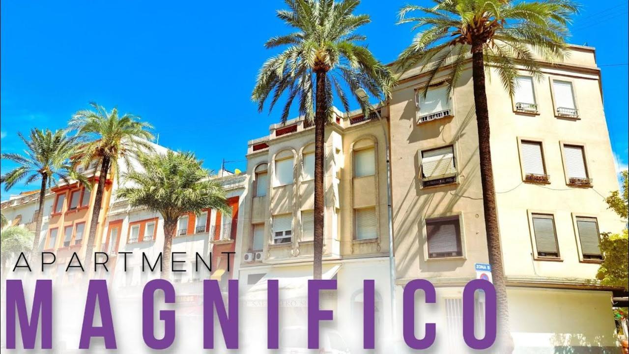 Magnifico Apartamento