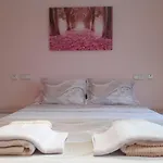 Apartamento Rosa