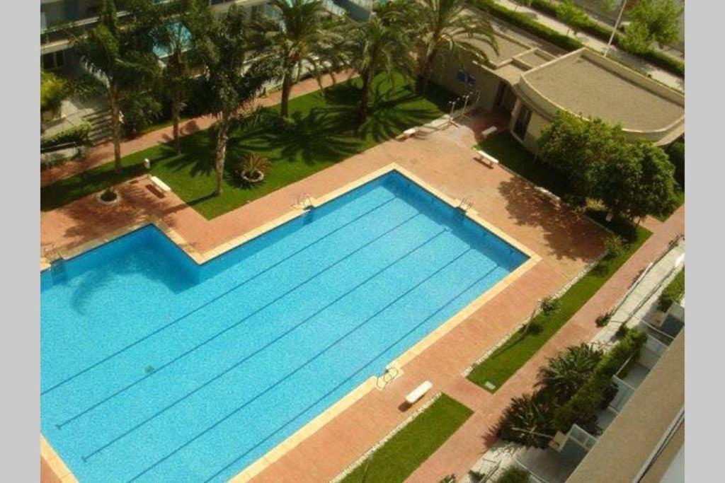 Apartamento Athenea Gandía