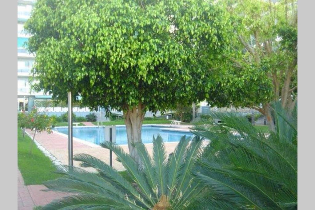 Apartamento Athenea
