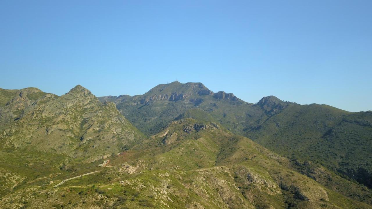 Elena Villa Gandía