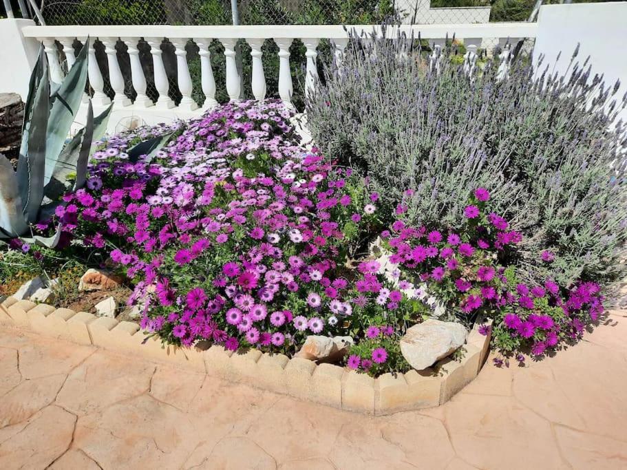 Lovely Flat With Heated Pool Apartamento