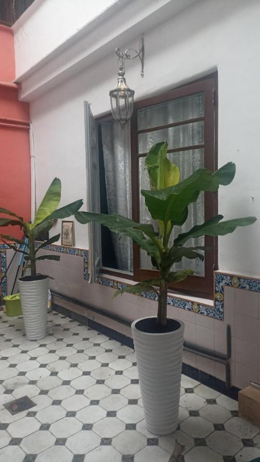 Casa Artistica *