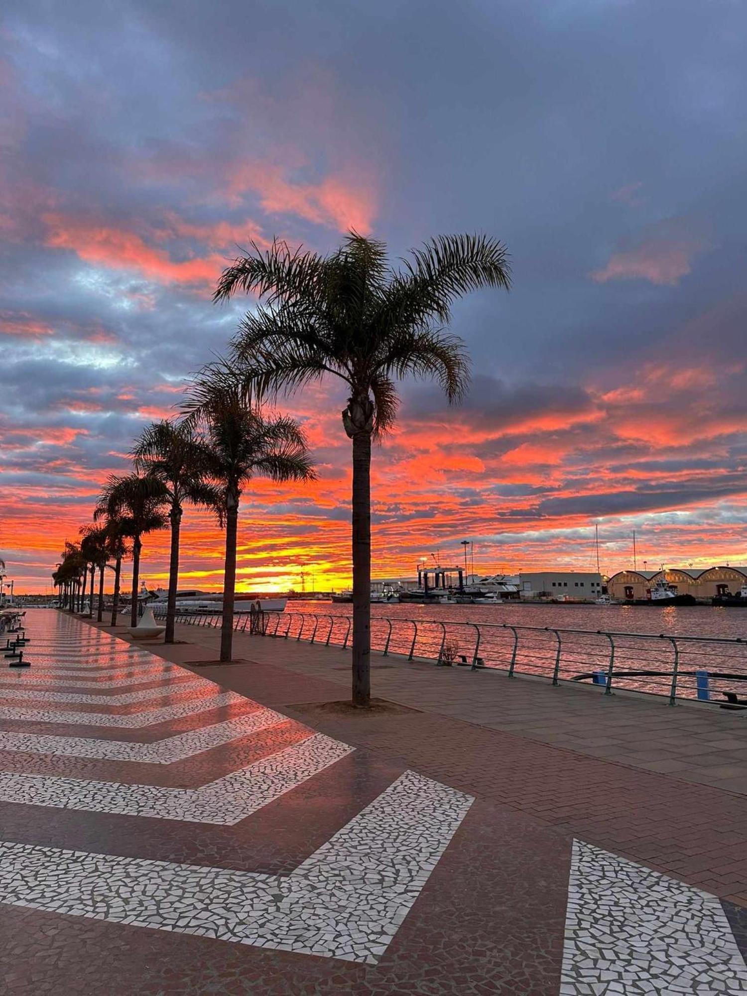 Apartamento Turquesa -gandia Playa Apartamento