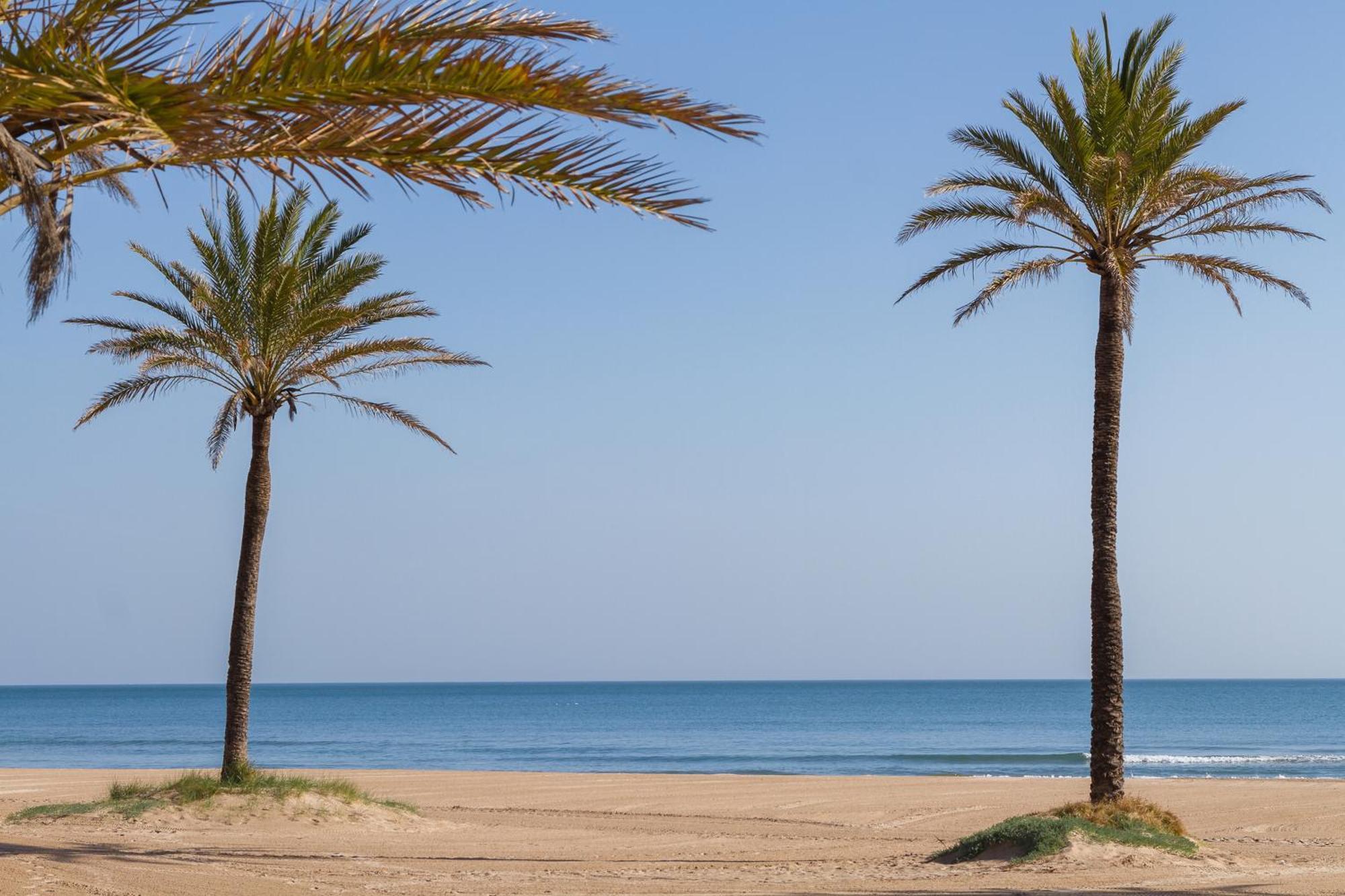 Bonanza * Gandia