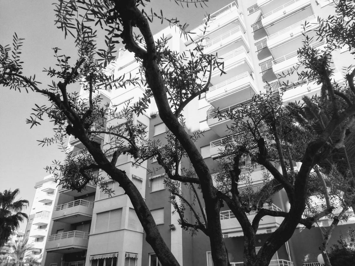 Las Alondras * Gandia