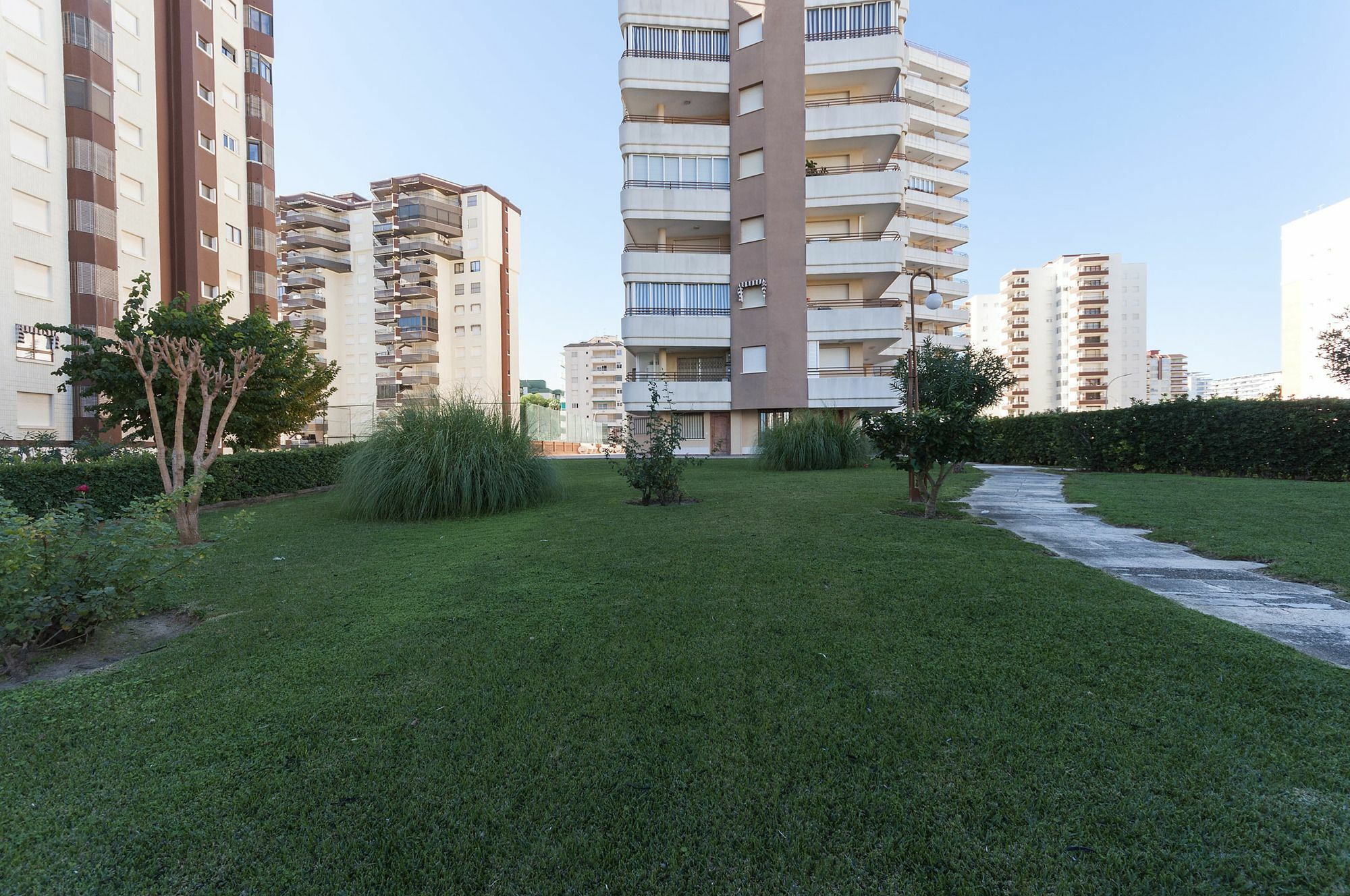 Apartment Velvet Gandia