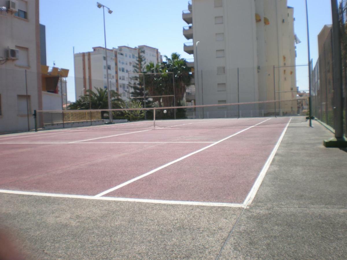 Jardin Ii * Gandia